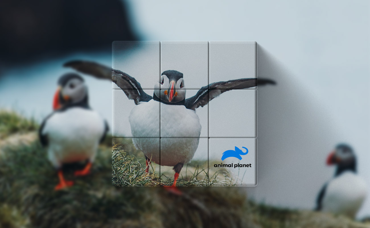 Blox - Personaliserede Magiske terninger gallery thumbnail