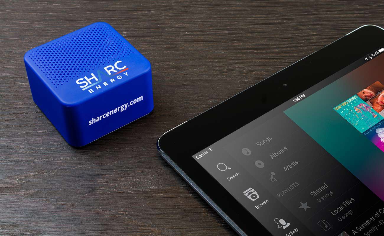 Ray - Højtaler Logo gallery thumbnail