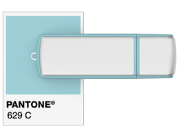 Pantone® Referencer USB stik